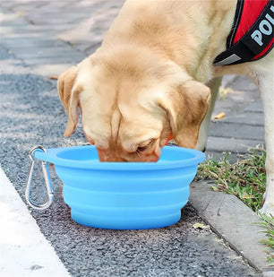 Large Collapsible Dog Bowl