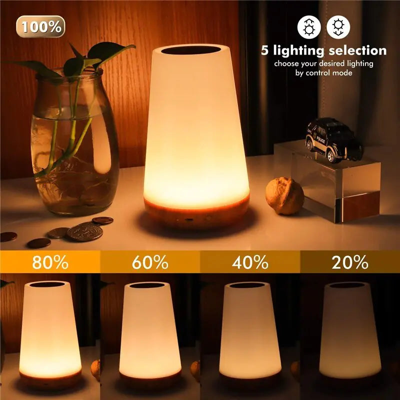 Portable Night Lamp (Multicolor)