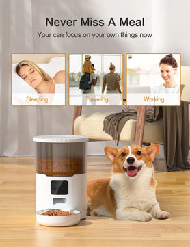 Cat Smart Dog Automatic Pet Feeder