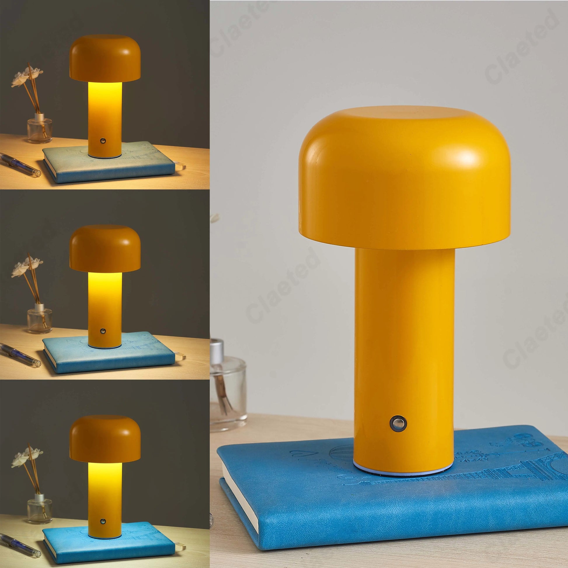 Mushroom Table Lamp (USB Charged)